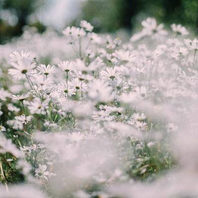 域网棋牌游戏手机app下载