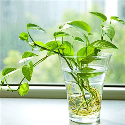 银河国际官网app下载手机app下载